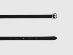 Belt in coated fabric