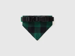 Check bandana for small dogs