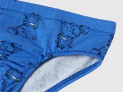 Garfield briefs ©2024 by Paws, Inc.