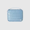 Large padded accessory clutch