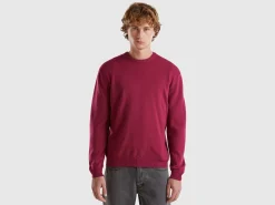Plum crew neck sweater in pure Merino wool