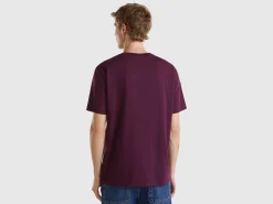 Plum organic cotton t-shirt with multicolor logo