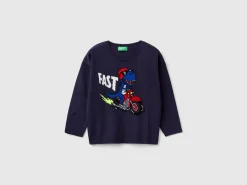 Sweater with dinosaur inlay