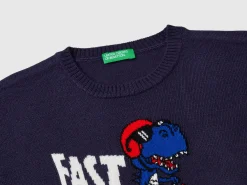 Sweater with dinosaur inlay