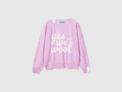 Sweater with embroidery in Merino wool