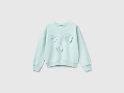 Sweatshirt with embroidery and applique