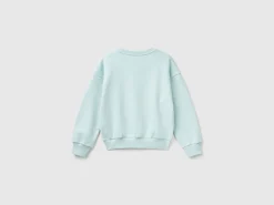 Sweatshirt with embroidery and applique