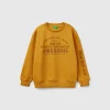 Sweatshirt with velvet effect print