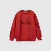 Sweatshirt with velvet effect print