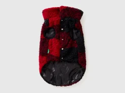 Teddy check coat for dogs