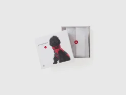 Teddy check coat for dogs