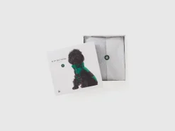 Teddy check coat for dogs