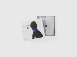 Teddy check coat for dogs